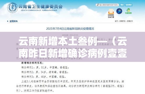 云南新增本土叁例—(云南昨日新增确诊病例壹壹例) 云南新增本土叁例—(云南昨日新增确诊病例壹壹例)