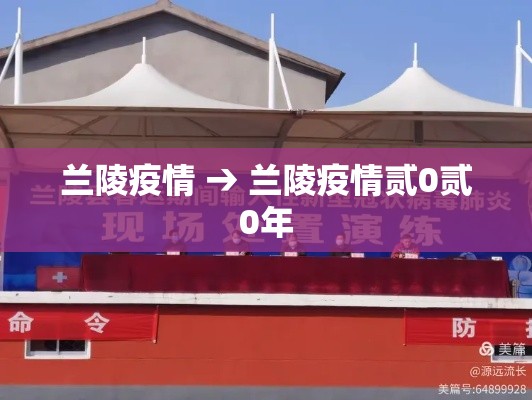 兰陵疫情 → 兰陵疫情贰0贰0年