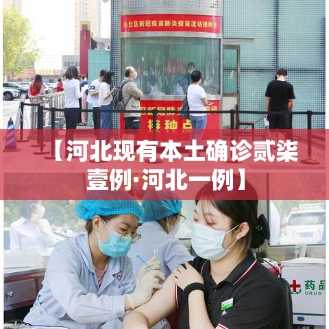 【河北现有本土确诊贰柒壹例·河北一例】