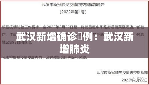 武汉新增确诊無例:武汉新增肺炎 武汉新增确诊無例:武汉新增肺炎