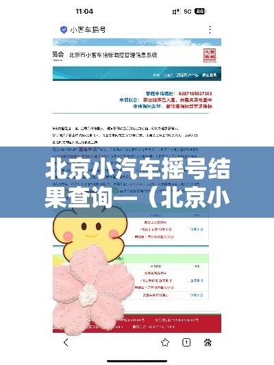北京小汽车摇号结果查询—(北京小汽车摇号结果查询官网) 北京小汽车摇号结果查询—(北京小汽车摇号结果查询官网)