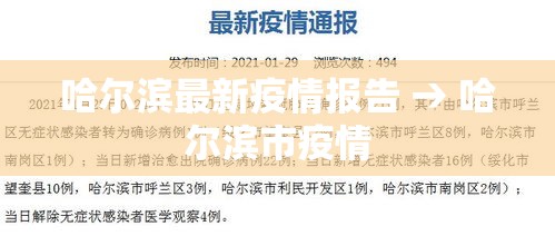 哈尔滨最新疫情报告 → 哈尔滨市疫情
