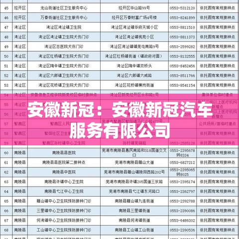 安徽新冠：安徽新冠汽车服务有限公司