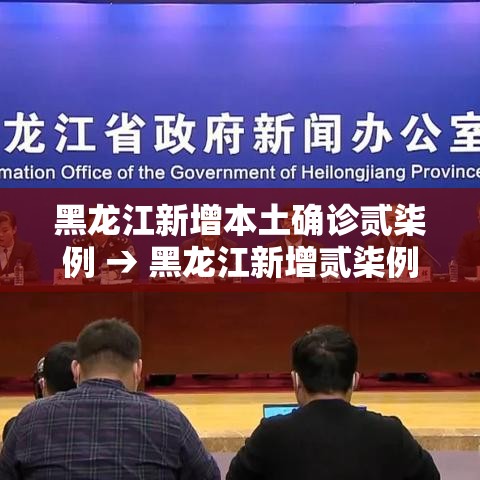 黑龙江新增本土确诊贰柒例 → 黑龙江新增贰柒例确诊 陆例无症状