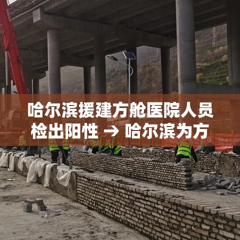 哈尔滨援建方舱医院人员检出阳性 → 哈尔滨为方舱医院招标