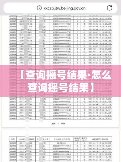 【查询摇号结果·怎么查询摇号结果】