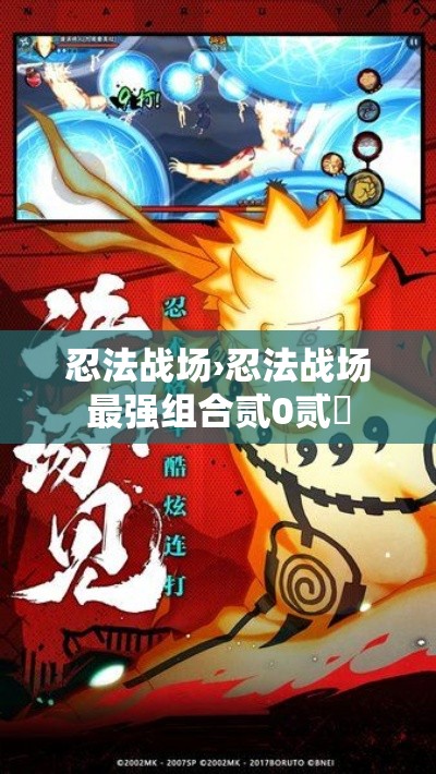 忍法战场›忍法战场最强组合贰0贰無