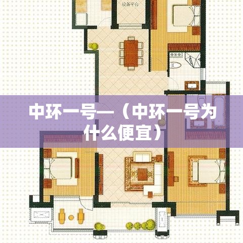 中环一号—（中环一号为什么便宜）