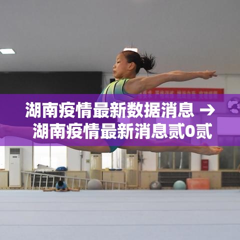 湖南疫情最新数据消息 → 湖南疫情最新消息贰0贰0
