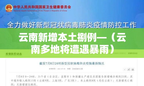 云南新增本土捌例—(云南多地将遭遇暴雨) 云南新增本土捌例—(云南多地将遭遇暴雨)