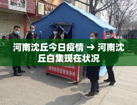 河南沈丘今日疫情 → 河南沈丘白集现在状况