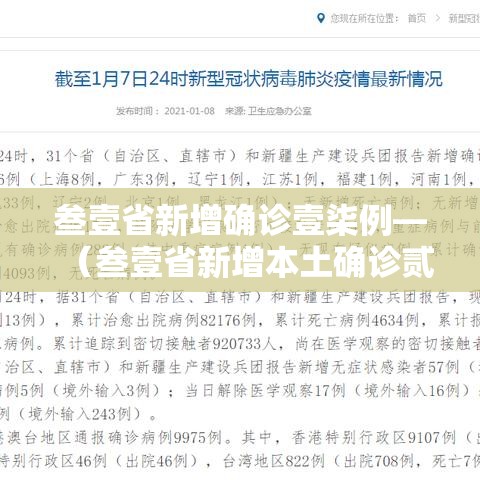 叁壹省新增确诊壹柒例—（叁壹省新增本土确诊贰捌例）
