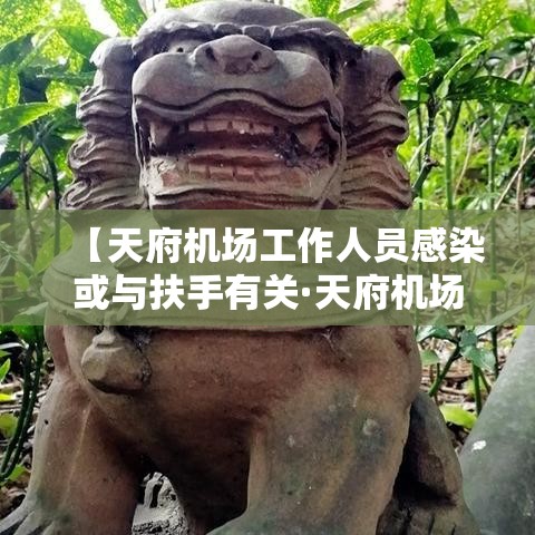 【天府机场工作人员感染或与扶手有关·天府机场工作人员感染或与扶手有关的事件】