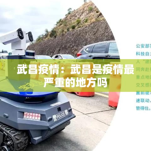 武昌疫情：武昌是疫情最严重的地方吗