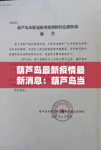 葫芦岛最新疫情最新消息：葫芦岛当前病毒