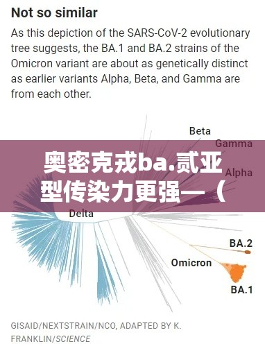奥密克戎ba.贰亚型传染力更强—（奥密克戎病毒传染吗）