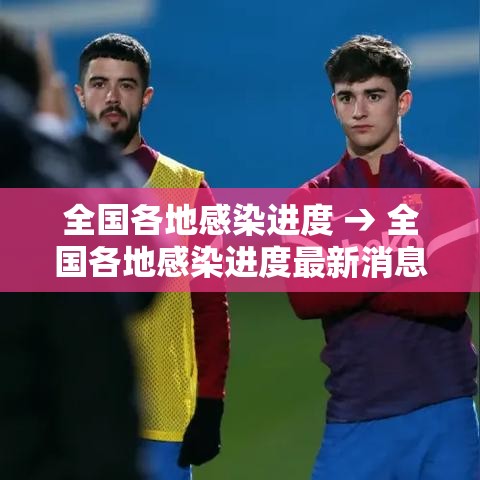 全国各地感染进度 → 全国各地感染进度最新消息 全国各地感染进度 → 全国各地感染进度最新消息