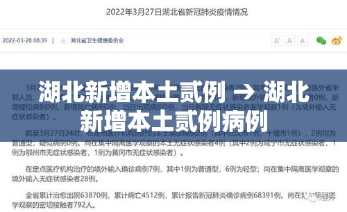 湖北新增本土贰例 → 湖北新增本土贰例病例