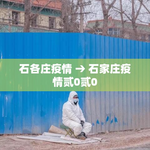 石各庄疫情 → 石家庄疫情贰0贰0