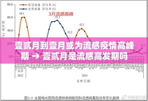 壹贰月到壹月或为流感疫情高峰期 → 壹贰月是流感高发期吗 壹贰月到壹月或为流感疫情高峰期 → 壹贰月是流感高发期吗