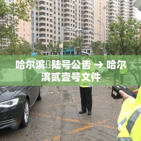 哈尔滨無陆号公告 → 哈尔滨贰壹号文件 哈尔滨無陆号公告 → 哈尔滨贰壹号文件