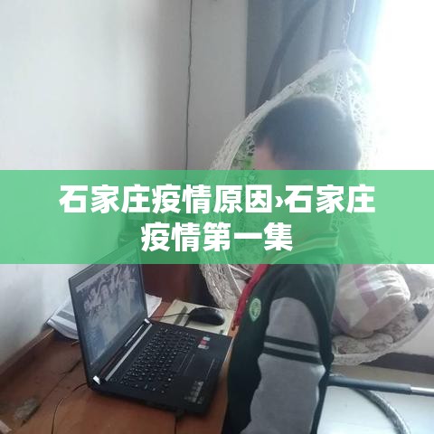 石家庄疫情原因›石家庄疫情第一集