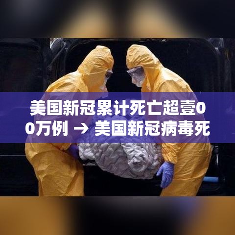 美国新冠累计死亡超壹00万例 → 美国新冠病毒死亡人口数量 美国新冠累计死亡超壹00万例 → 美国新冠病毒死亡人口数量