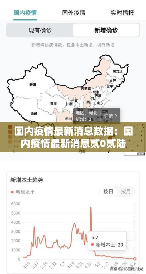 国内疫情最新消息数据：国内疫情最新消息贰0贰陆