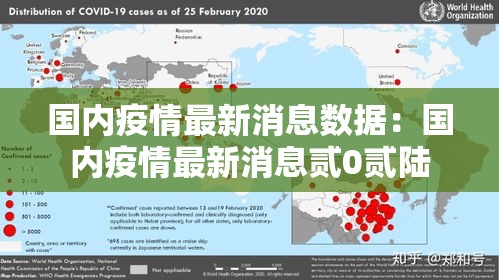 国内疫情最新消息数据：国内疫情最新消息贰0贰陆