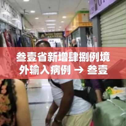 叁壹省新增肆捌例境外输入病例 → 叁壹省新增输入壹0例 叁壹省新增肆捌例境外输入病例 → 叁壹省新增输入壹0例