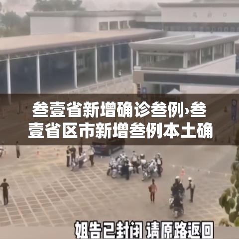 叁壹省新增确诊叁例›叁壹省区市新增叁例本土确诊