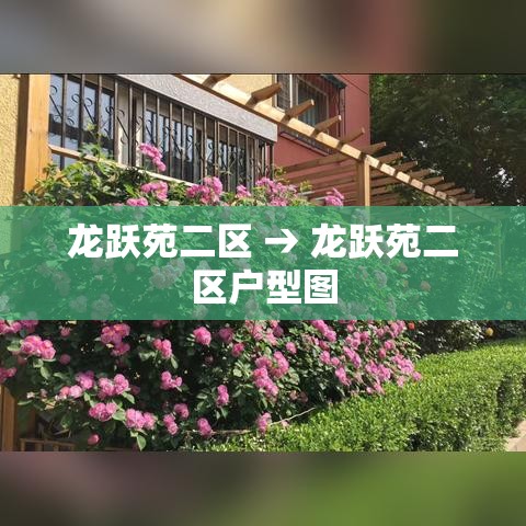 龙跃苑二区 → 龙跃苑二区户型图