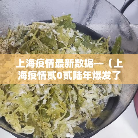 上海疫情最新数据—（上海疫情贰0贰陆年爆发了吗）