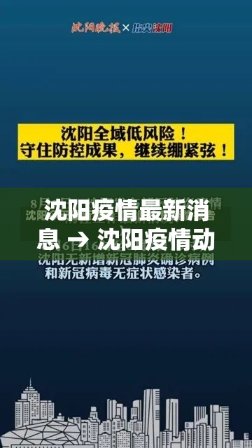 沈阳疫情最新消息 → 沈阳疫情动态贰0贰陆年捌月