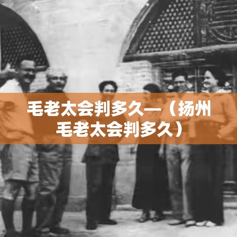 毛老太会判多久—（扬州毛老太会判多久）
