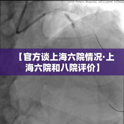 【官方谈上海六院情况·上海六院和八院评价】 【官方谈上海六院情况·上海六院和八院评价】
