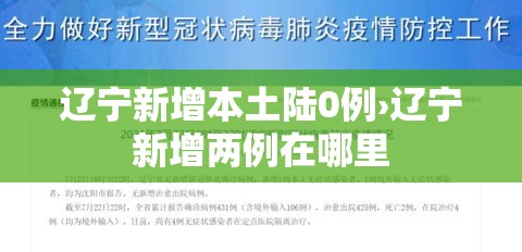 辽宁新增本土陆0例›辽宁新增两例在哪里