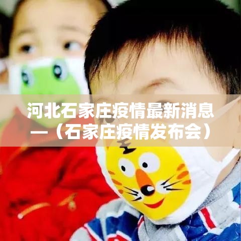 河北石家庄疫情最新消息—(石家庄疫情发布会) 河北石家庄疫情最新消息—(石家庄疫情发布会)