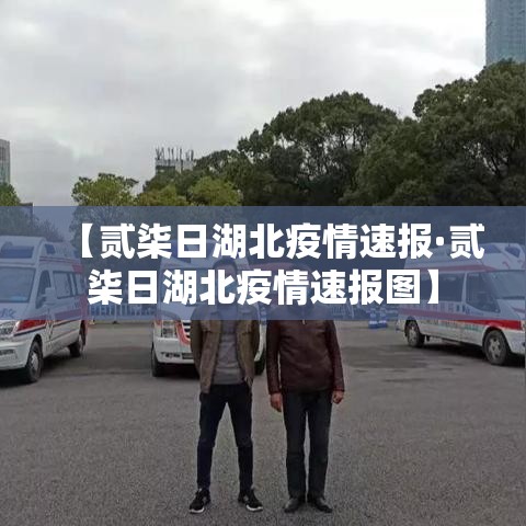 【贰柒日湖北疫情速报·贰柒日湖北疫情速报图】