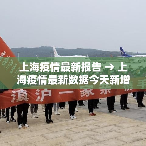 上海疫情最新报告 → 上海疫情最新数据今天新增 上海疫情最新报告 → 上海疫情最新数据今天新增