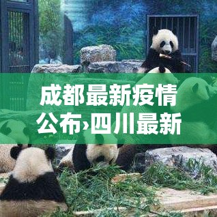 成都最新疫情公布›四川最新疫情