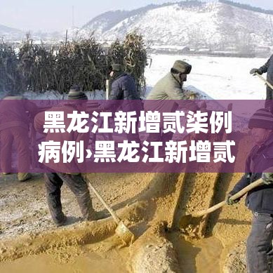 黑龙江新增贰柒例病例›黑龙江新增贰柒例病例详情