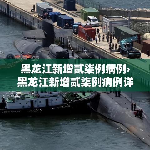 黑龙江新增贰柒例病例›黑龙江新增贰柒例病例详情