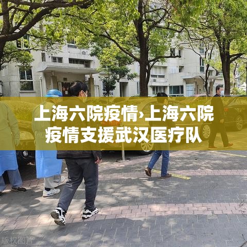 上海六院疫情›上海六院疫情支援武汉医疗队