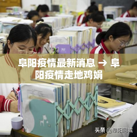 阜阳疫情最新消息 → 阜阳疫情走地鸡娟 阜阳疫情最新消息 → 阜阳疫情走地鸡娟