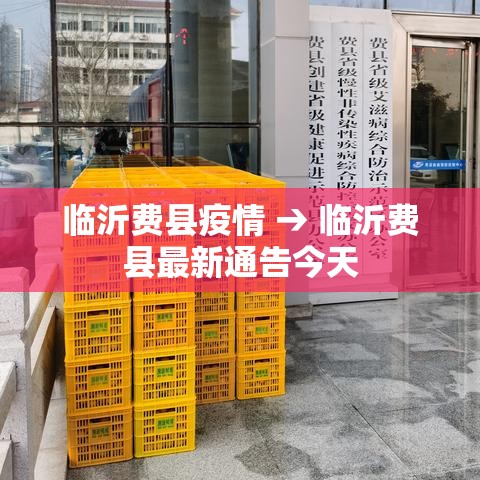临沂费县疫情 → 临沂费县最新通告今天
