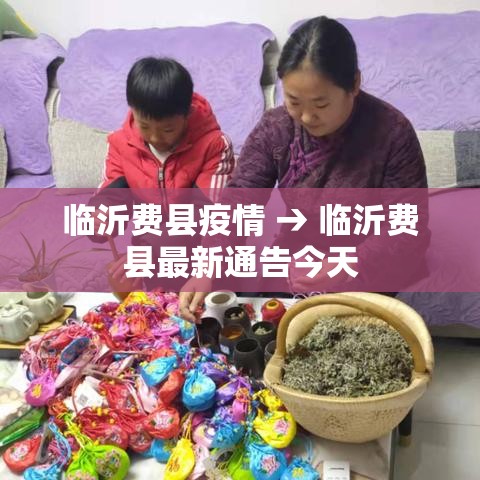 临沂费县疫情 → 临沂费县最新通告今天