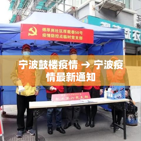 宁波鼓楼疫情 → 宁波疫情最新通知