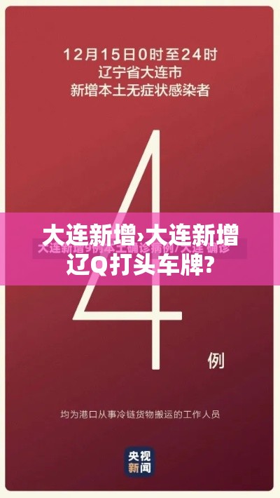 大连新增›大连新增辽Q打头车牌?