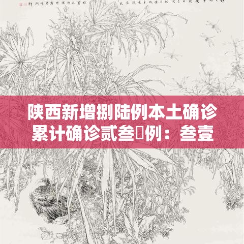 陕西新增捌陆例本土确诊累计确诊贰叁無例：叁壹省新增本土确诊柒9例